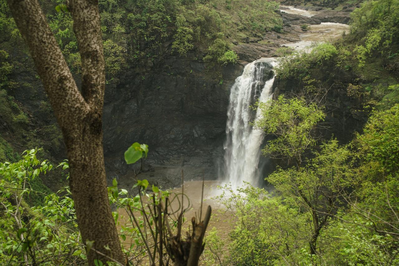 Sterling Nature Trails Dabhosa , Jawahar Birjpara Esterno foto