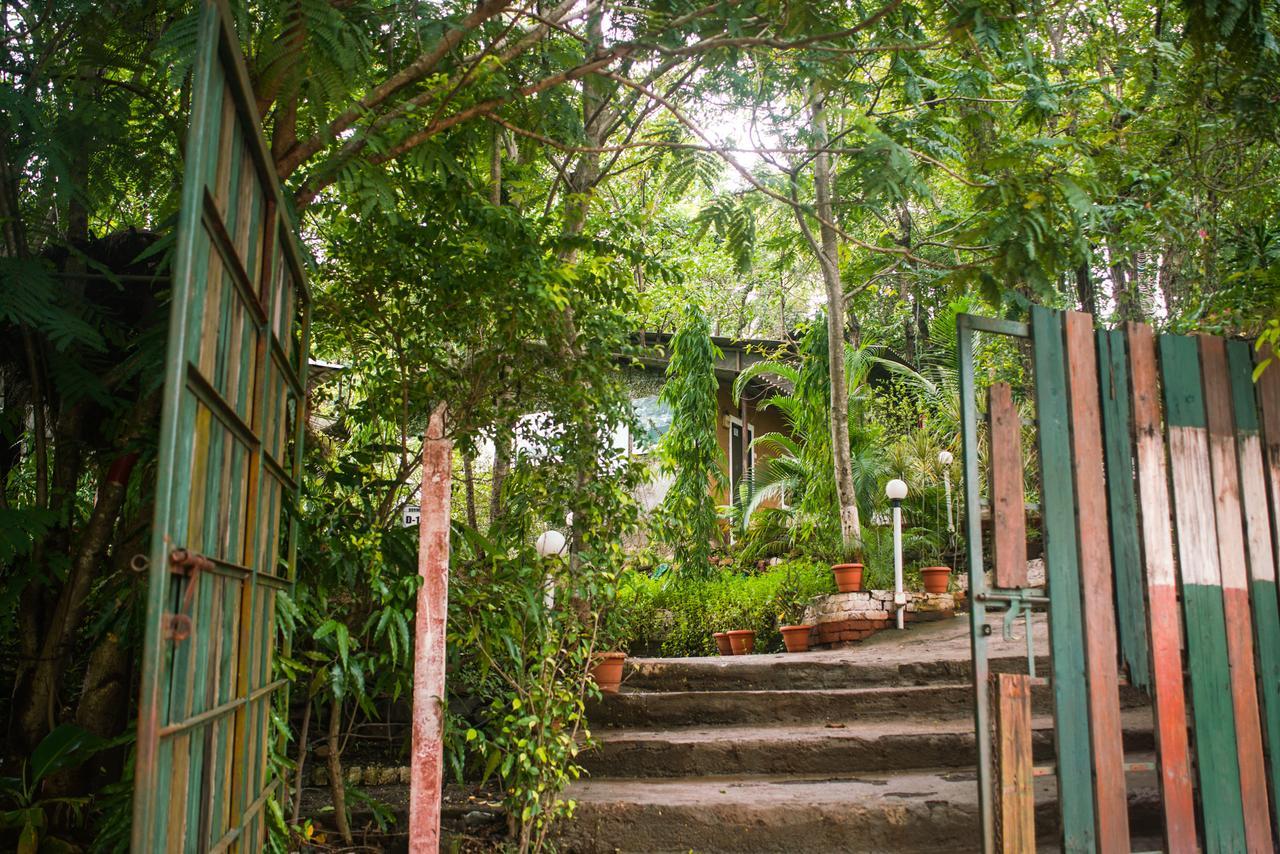 Sterling Nature Trails Dabhosa , Jawahar Birjpara Esterno foto