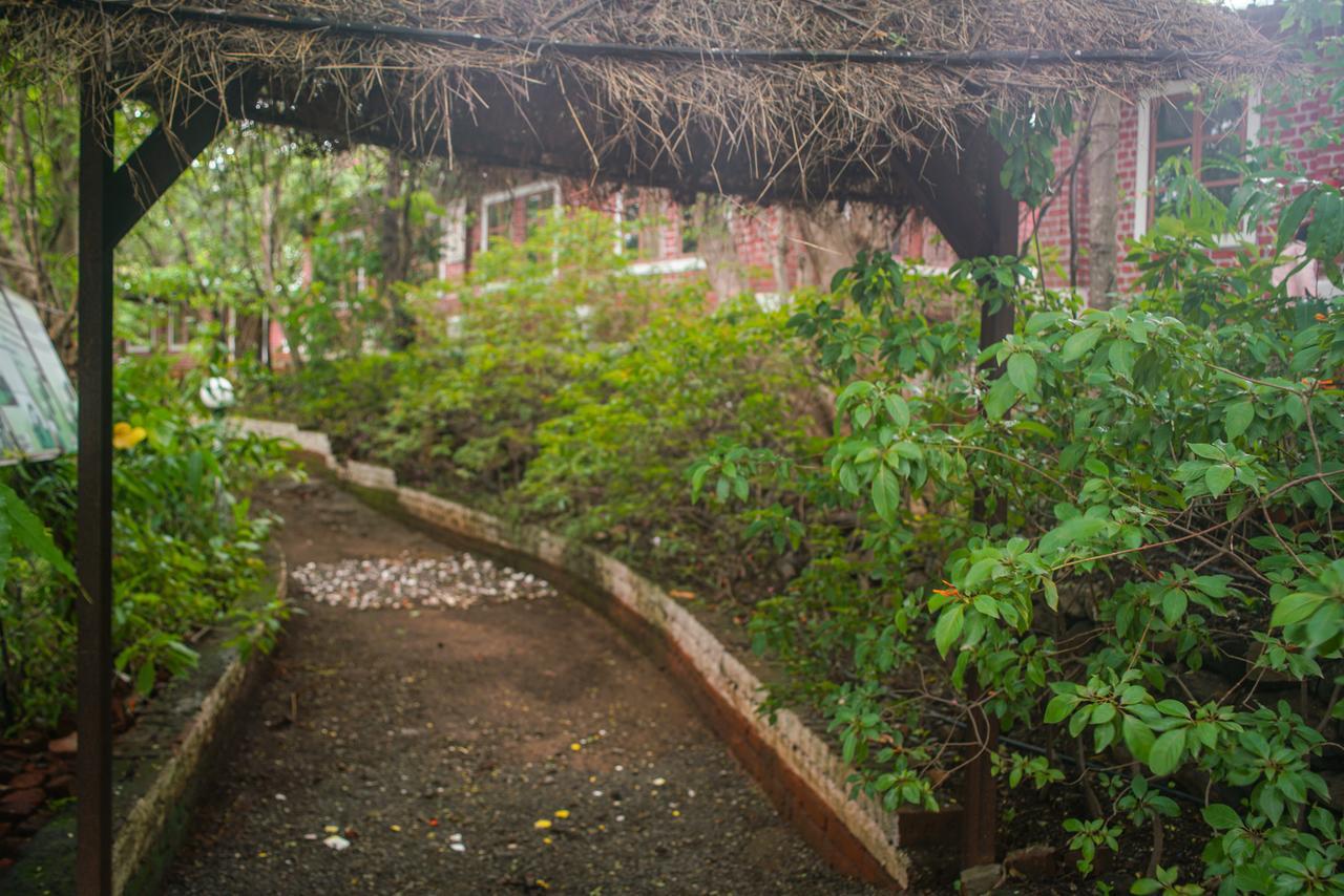 Sterling Nature Trails Dabhosa , Jawahar Birjpara Esterno foto
